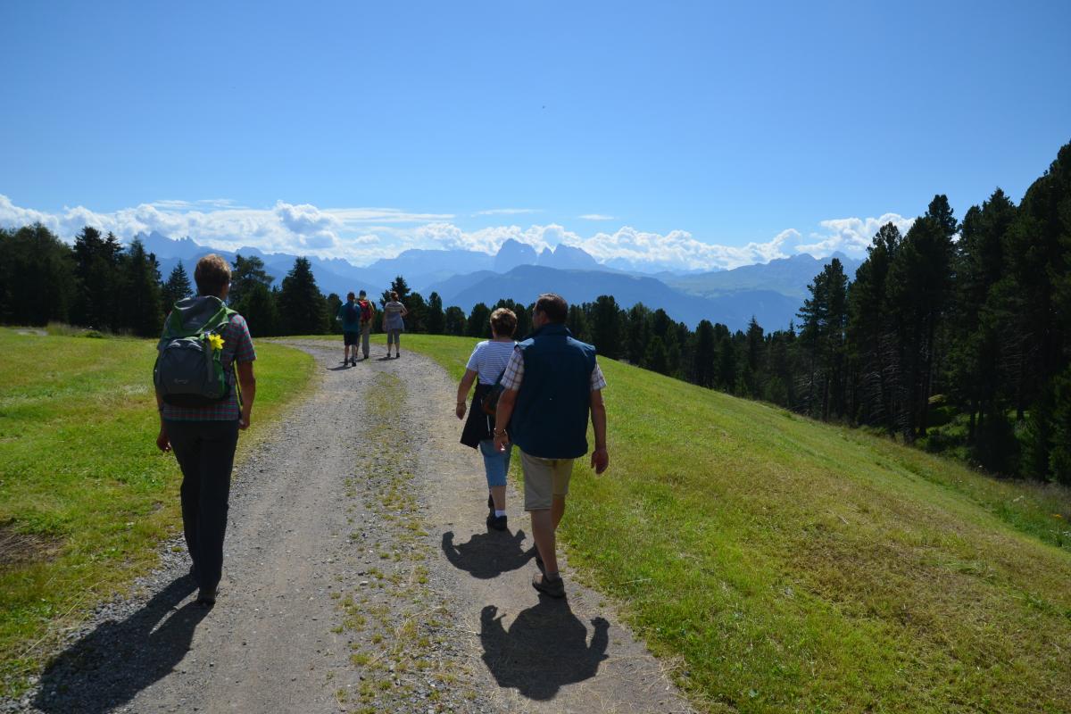 Latschenbrennerei und Platzer Alm 23.07.2020